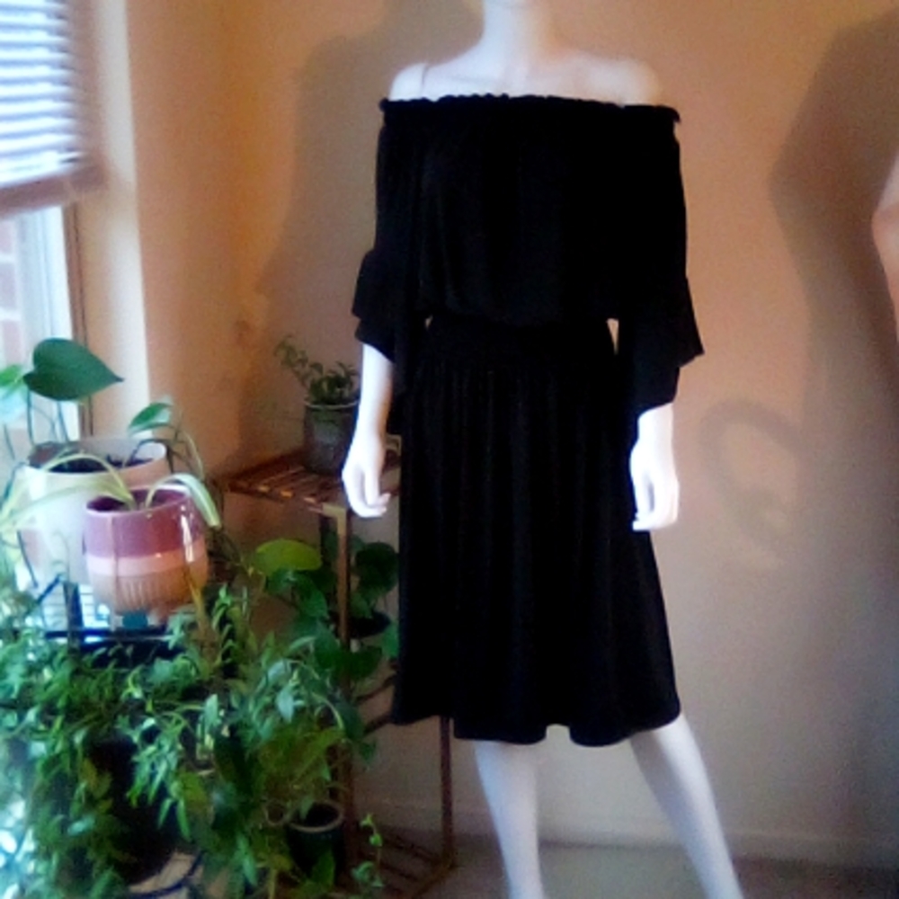 Dress by Ashley Stewart, size 14/16, can be worn pulled down on shoulders. Black
